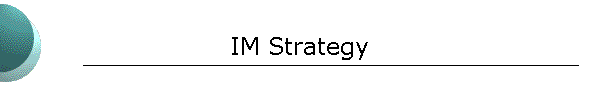 IM Strategy